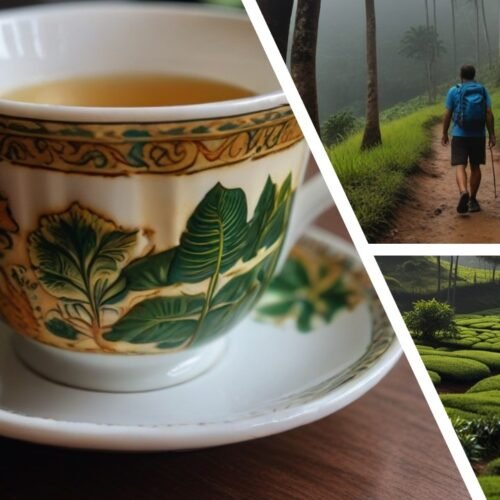 Composite picture showing an antique cup of tea, a man hiking, a tea plantation Image composée de trois parties avec une tasse de thé antique, un homme en ballade, une plantation de thé